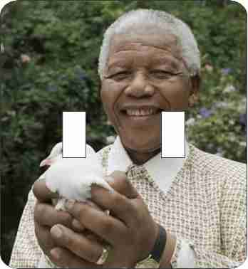 Mandela Dove Double Switch Plate Cover
